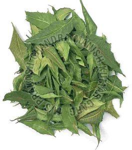 Dried Neem Leaves