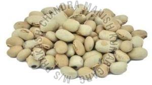 Kaunch Seeds