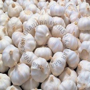 Natural Fresh Garlic
