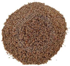 Sortex Clean Isabgol Seeds