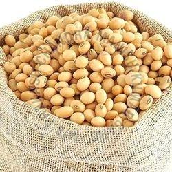 Soybean Seeds