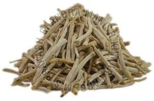 White Shatavari Root
