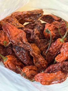 Bhut Jolokia Dried Chilli