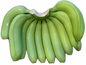 G9 Cavendish Banana