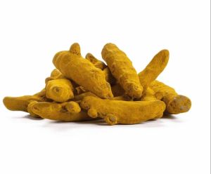 Unpolished Dried Turmeric Finger