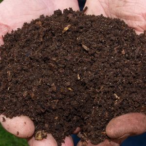 Organic Vermicompost Fertilizer