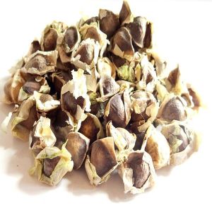 Organic Moringa Seeds