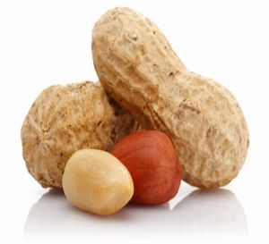 Raw Groundnut