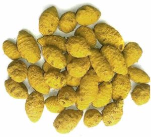 Erode Turmeric Bulb