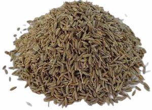 Europe Quality Cumin Seed
