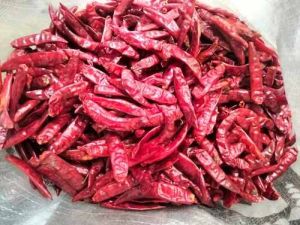 kashmiri red chilli