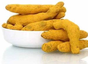Lakadong Turmeric Finger