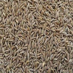 Singapore Quality Cumin Seed