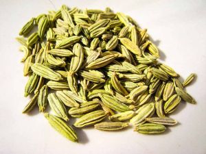 Singapore Quality Fennel Seed