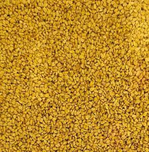 Sortex Cleaned Fenugreek Seeds
