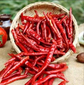 Teja S17 Dry Red Chilli