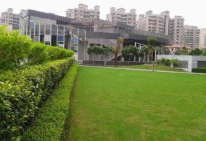 Garden Development Service