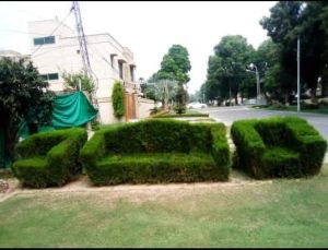 Garden Development Service