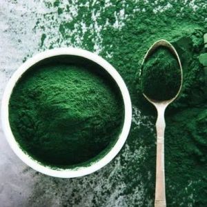 Dried Spirulina Powder