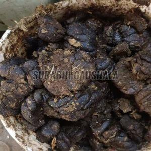Fresh Raw Cow Dung
