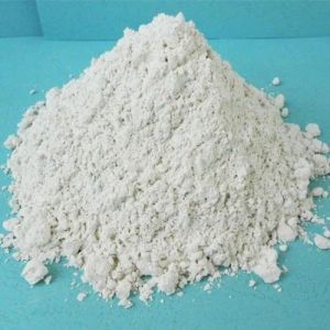 Washed Lime Powder