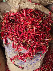 Dry Red Chilli