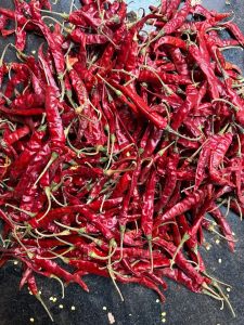 Dry Red Chilli