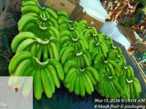 Premium A Grade Cavendish G9 Banana