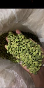 Premium Grade Whole Green Cardamom
