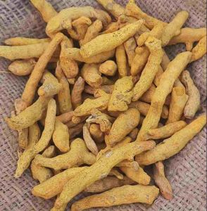 Salem Dried Turmeric Finger
