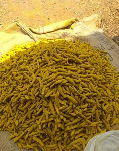 Salem Dried Turmeric Finger