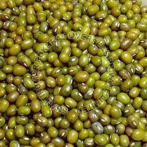 Farm Grade Whole Green Moong Beans