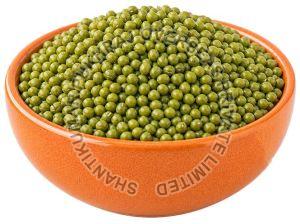 Polished Whole Green Moong Beans