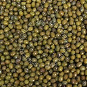 Unpolished Whole Green Moong Beans