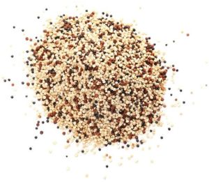 Organic Quinoa Seeds