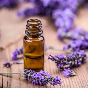 French Lavender Essential Oil