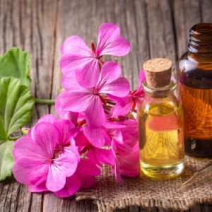 Geranium Oil