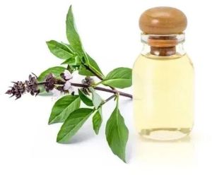 Holy Basil Oil