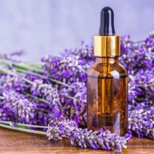 Kashmiri Lavender Oil