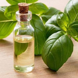 Mixed Basil Oil