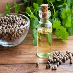 Organic Coriander Seed Oil