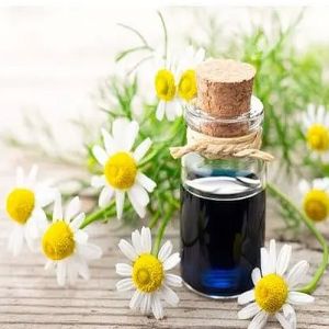 Pure German Chamomile Oil