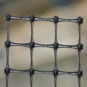 Biaxial Geogrid Mesh