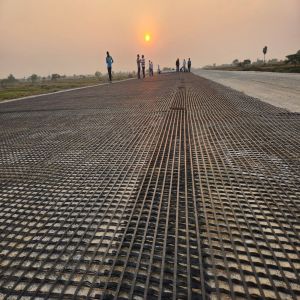 Polyester Geogrid Mesh