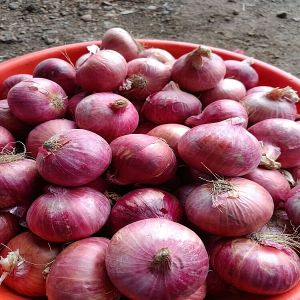 Red Onion