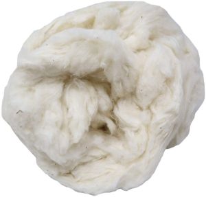 Natural White Raw Cotton
