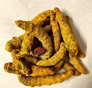 Waigaon Turmeric Finger