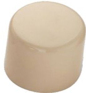 CPVC End Cap