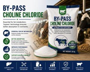 By-Pass Choline Chloride Ruminant Feed Supplement