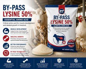 By-Pass Lysine 50% Essential Amino Acid Feed Supplement